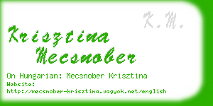 krisztina mecsnober business card